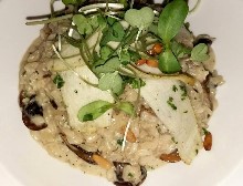 Thumbs/tn_z.Mumbai Indigo (8).jpg